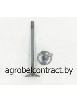 Впускной клапан 04903005