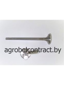 Клапан выпускной 04903006