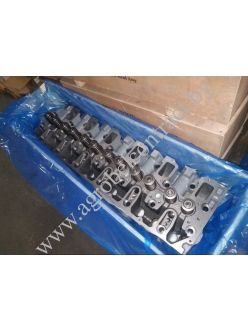 Головка цилиндров 04258234/04255295