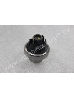 Выключатель сервисный 3900062950