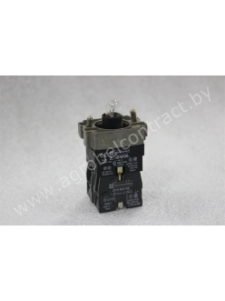 Устройство контроля и сигнализации ZB2BW065