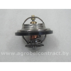 Термостат 04224847/04224848