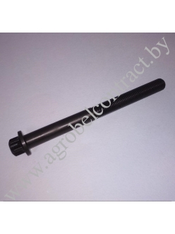 Болт головки блока цилиндров (дл.) (TCD 2013) 04900634/040121201301