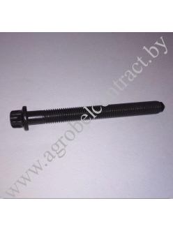 Болт головки цилиндров 04202005