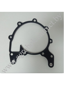 Прокладка насоса системы охлаждения 04900988 (TCD 2013)