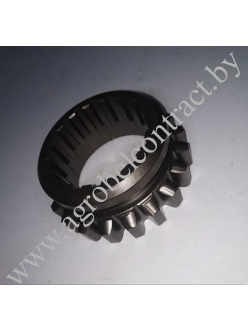 Шестерня 50-1701072-А (А)