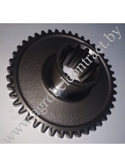Шестерня 50-1701214 (A)