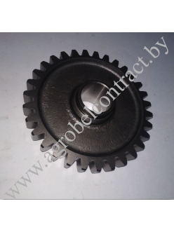 Шестерня промежуточная 70-1701082 (A)