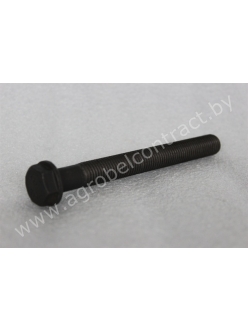 Болт шестигранный крышки коренного вклад 04251254