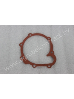Прокладка водяного насоса 04198968